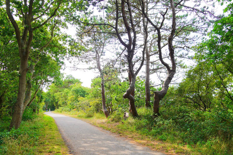 Senioren aan zee: rust, natuur & comfort in Callantsoog